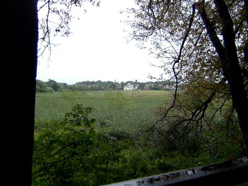 Polish countryside